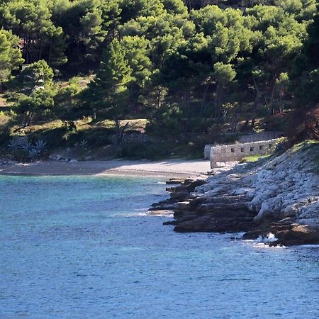Apartments Zoki - Great Location Close To The Sea Vis Extérieur photo