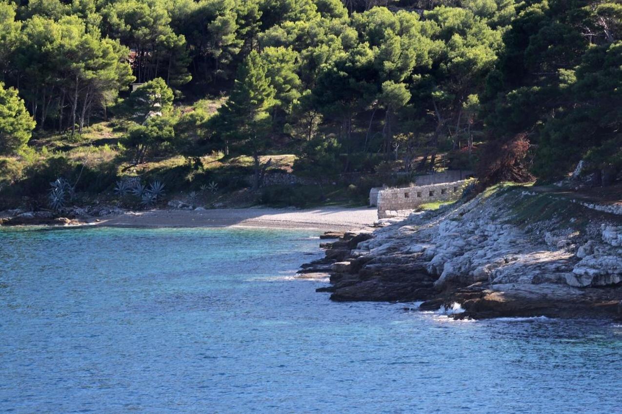 Apartments Zoki - Great Location Close To The Sea Vis Extérieur photo
